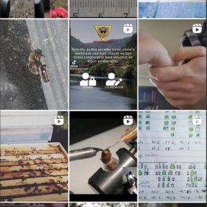 Quieres saber más de nosotros? Toca la imagen¡¡¡