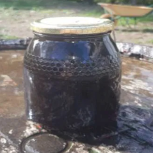 Miel Monofloral de Castaño