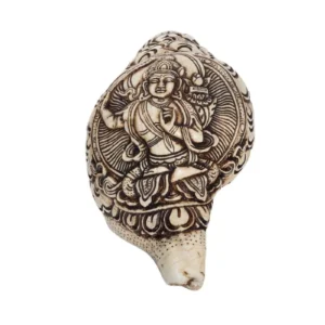 concha grabada a mano vivirnepal.com